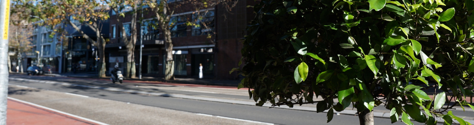 Oxford Street in Paddington